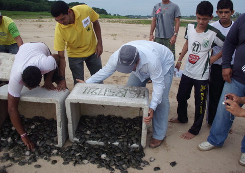 Pesquisa mostra percepção pública sobre área de preservação ambiental