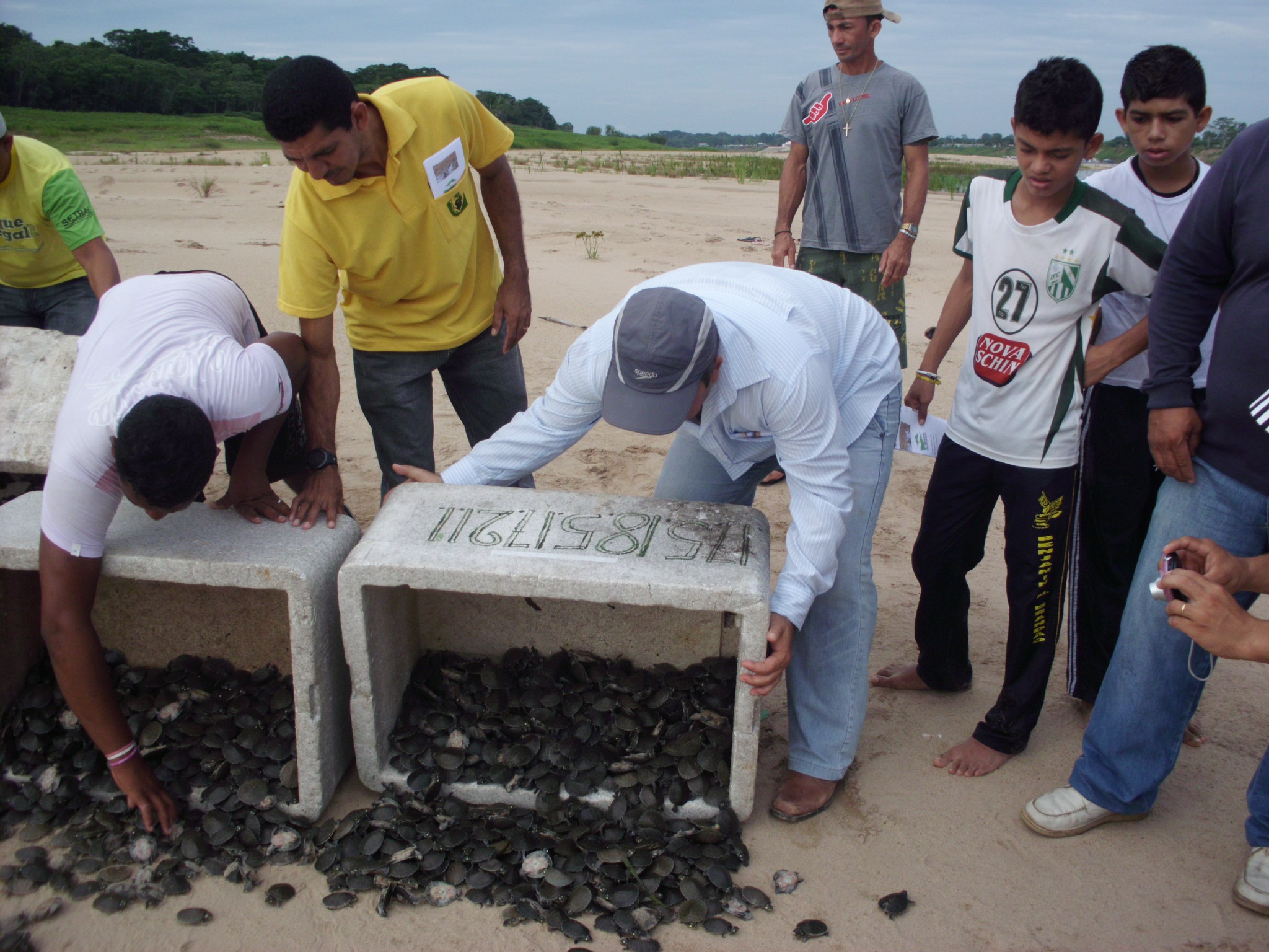 Pesquisa mostra percepção pública sobre área de preservação ambiental