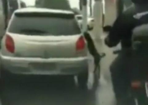 Cachorro é abandonado pelo próprio dono em Avenida