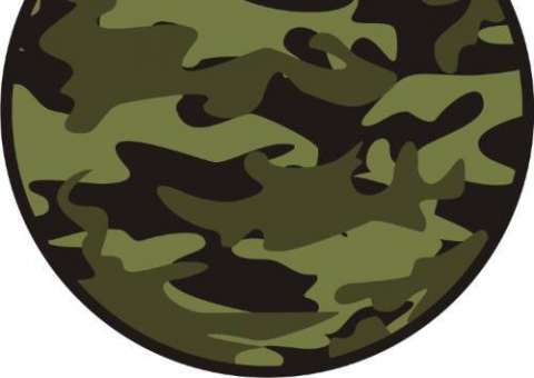 Amazonense descobre novo método para se camuflar