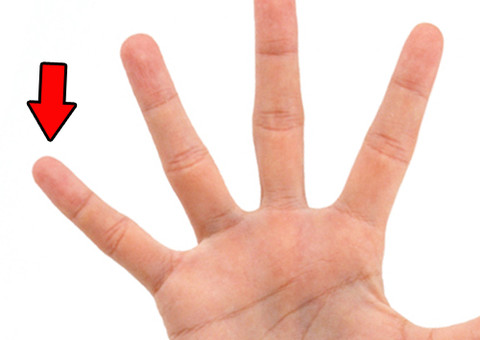 Descubra o que o comprimento dos dedos das mãos pode revelar sobre os homens?