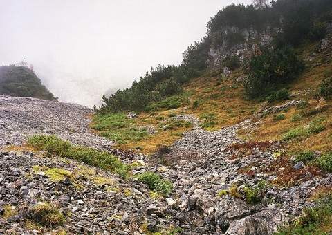 Desafio 007 - Encontre o Snipper