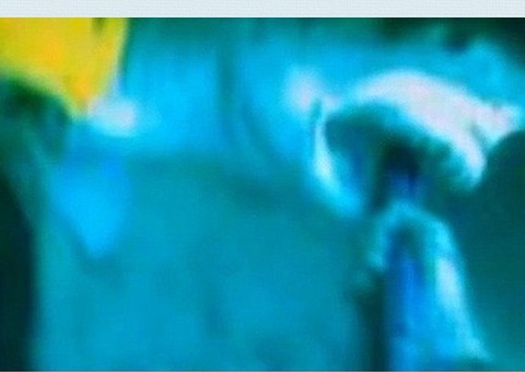 Jovem filma a própria mão sendo mordida por tubarão