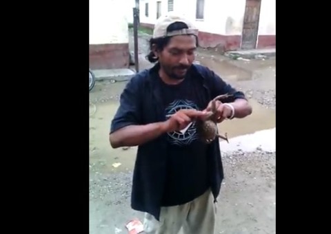 Comendo uma perereca 