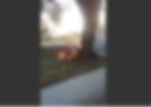 Vídeo mostra mendigo queimando 