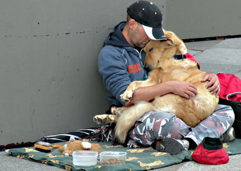 A prova de que os cães te amam não importa o que aconteça