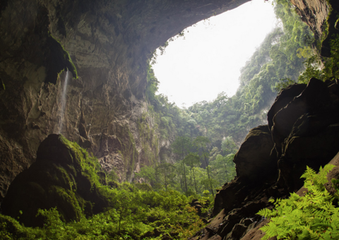 Maior caverna do mundo tem selva e rio próprios