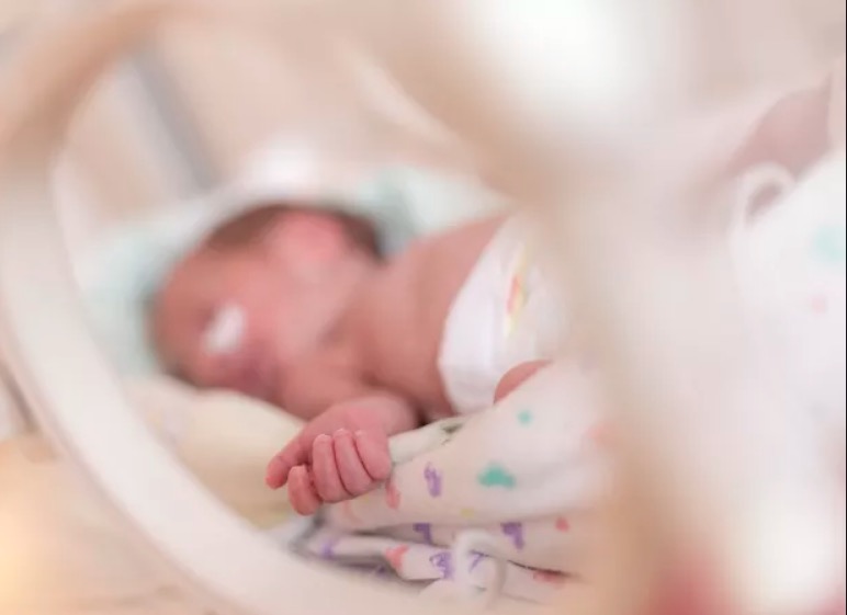 Maranhão diz que pode receber 10 dos 60 bebês que estão em UTIs de Manaus 