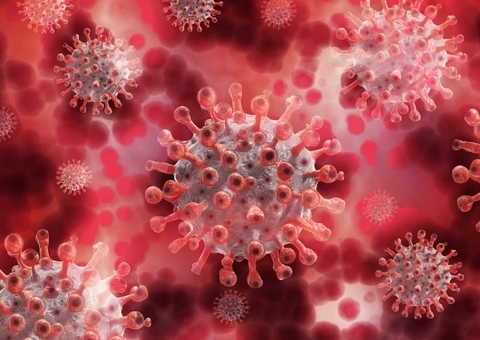 Moradores de Manaus estão com covid em Curitiba e nova cepa é investigada