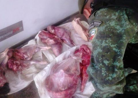 Carne de tatu e porco-do-mato é apreendida na AM-070