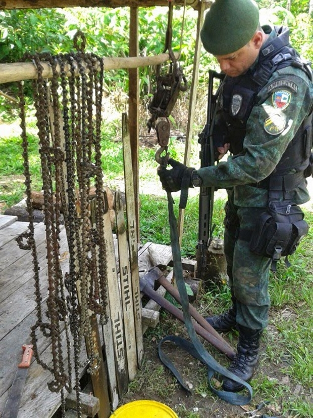 Homens são presos por exploração de madeira em terra indígena