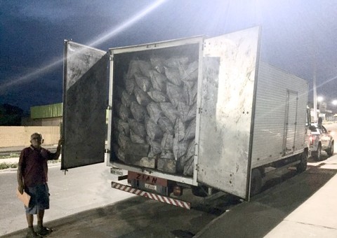 20 toneladas de carvão vegetal são apreendidos por falta de documentação