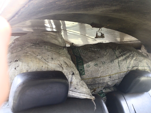 Homem que fazia transporte ilegal de carvão tenta subornar a polícia