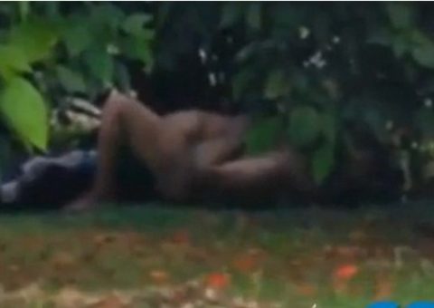 Casal é flagrado fazendo sexo em canteiro de avenida movimentada no Paraná