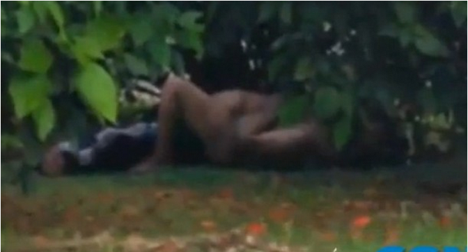 Casal é flagrado fazendo sexo em canteiro de avenida movimentada no Paraná