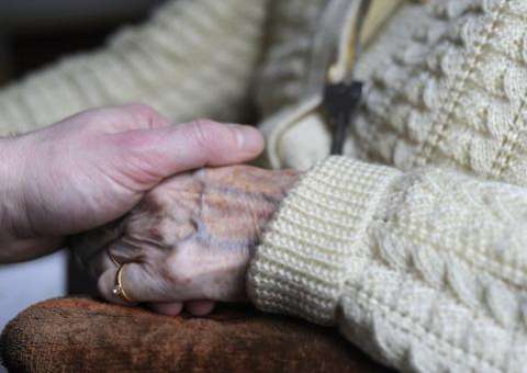 Pesticidas podem aumentar risco de Alzheimer, sugere estudo