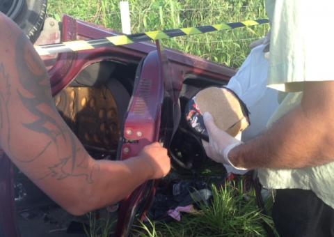  No carro da morte, favos de mel e muito sangue