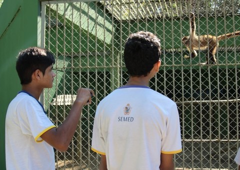 Alunos aprendem sobre biodiversidade em aula prática no Cigs