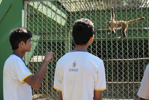 Alunos aprendem sobre biodiversidade em aula prática no Cigs