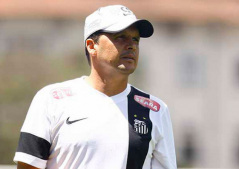 Claudinei cobra aproveitamento de 70% no Santos