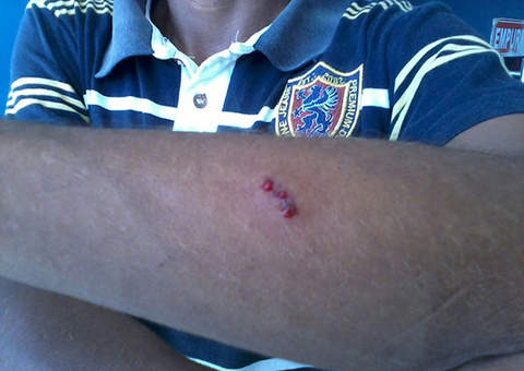 Catolé em manifestação de professores vira caso de polícia em Coari