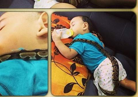 Comediante posta no Instagram fotos de cobra enrolada em bebê