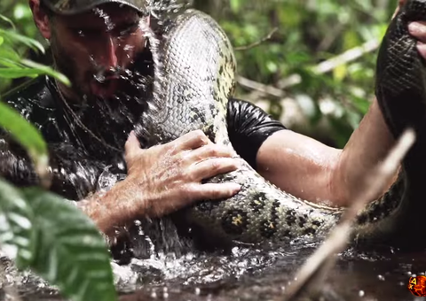  Homem filmado engolido vivo e vomitado por anaconda é criticado por defensores de animais
