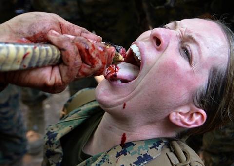 Militares americanos bebem sangue de cobra em curso de sobrevivência