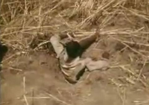 Africanos usam isca humana na caça de cobras gigantes. Veja vídeo