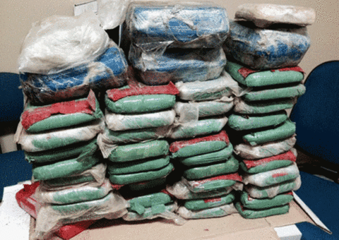 Polícia apreende 80 kg de cocaína avaliados em R$ 1 milhão  