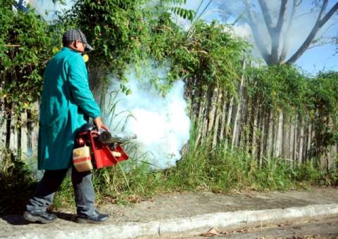 Semsa realiza intenso combate ao mosquito da dengue em Parintins  