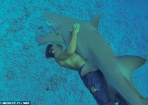 Corajoso se arrisca nadando abraçado a tubarão
