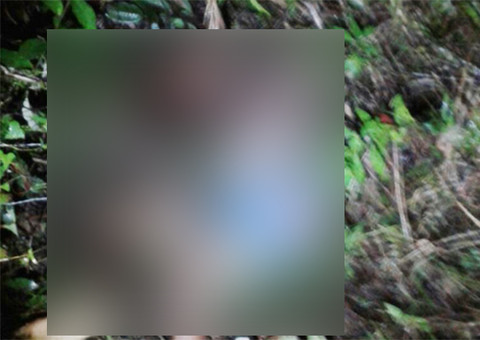 Tarumã: Assassinato cruel com mais de 15 tiros