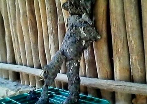 Restos mortais de um ET são encontrados no em cratera no México