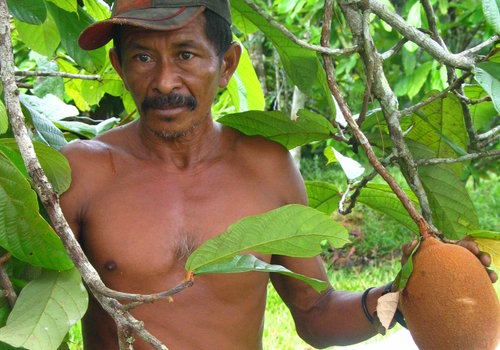 Governo garante benefícios a mais de 72,7 mil produtores rurais