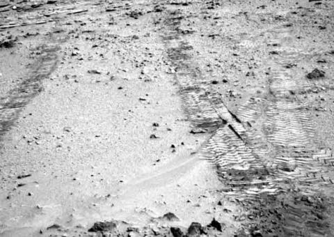 Vivo, TIM e Coca são multadas em R$ 5 milhões por propaganda enganosa