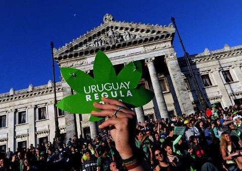  México e Uruguai optam por diferentes estratégias de combate ao narcotráfico