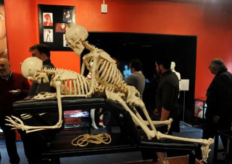Museu exibe esqueletos fazendo amor