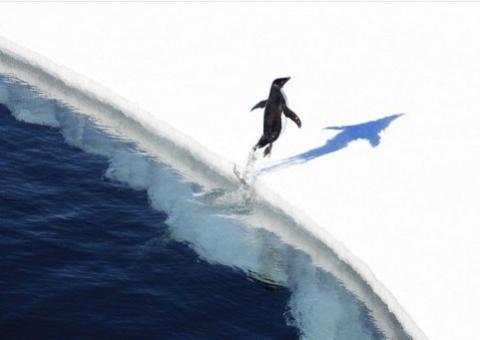 Degelo na Antártica é 10 vezes mais rápido que há 600 anos