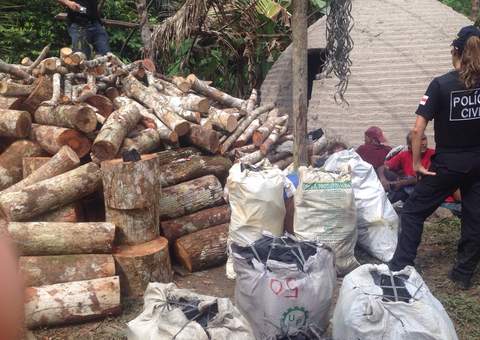  Polícia apreende 3,5 toneladas de carvão irregular em Careiro