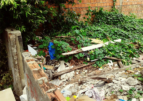 Na Betânia, terreno vira criadouro de mosquito e local de uso de droga