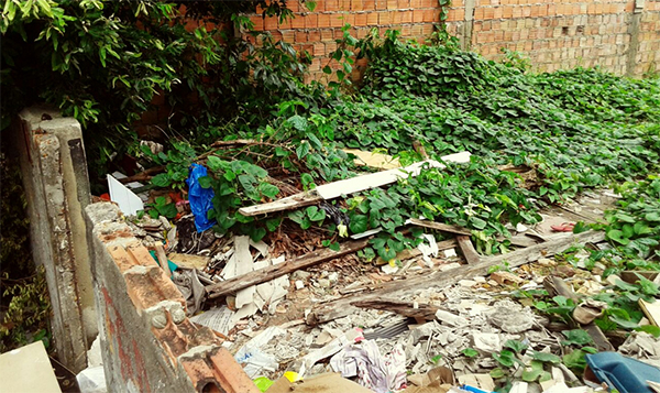 Na Betânia, terreno vira criadouro de mosquito e local de uso de droga