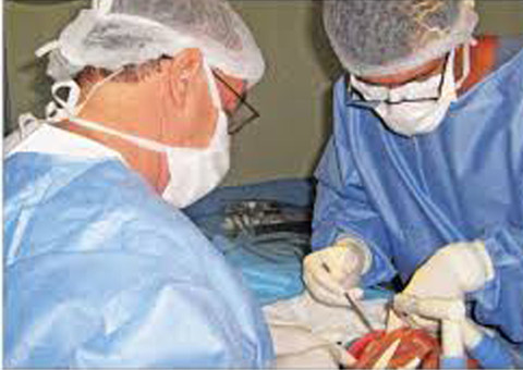  Crianças com Autismo terão atendimento odontológico especial