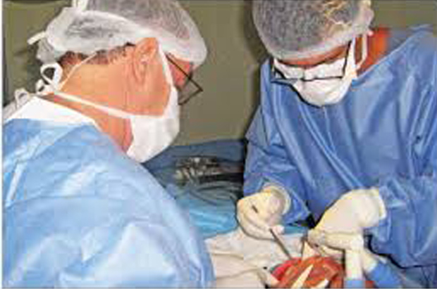  Crianças com Autismo terão atendimento odontológico especial