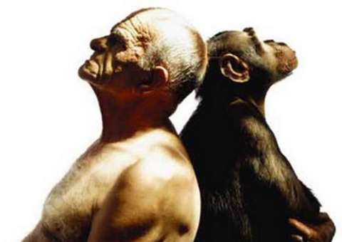 Um terço dos americanos não acredita na Teoria da Evolução