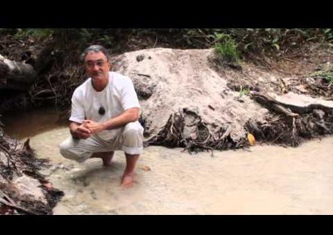 Salve o Igarapé do Mindu - Por Celdo Braga