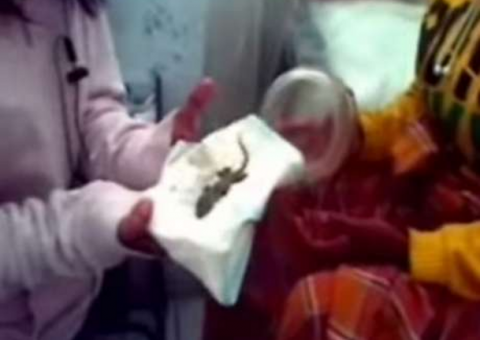 Mulher é acusada de bruxaria após 'parir' um lagarto 