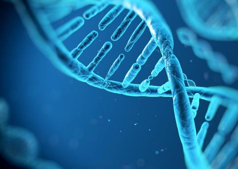 Exames de DNA revelam condenações erradas baseadas em provas forenses