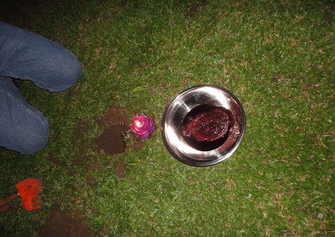 Mulher surta após parto e come a própria placenta