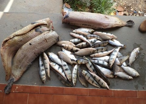 Traficante vendia droga em banca de peixe em Manaus